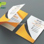 Bìa Đựng Hồ Sơ